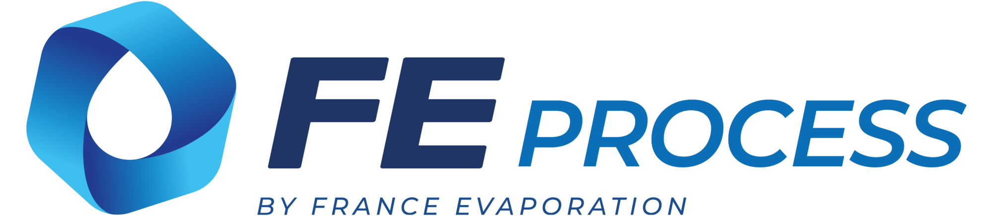 [FE Logo] FE Process